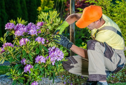 Preparing your Battersea garden for clearance