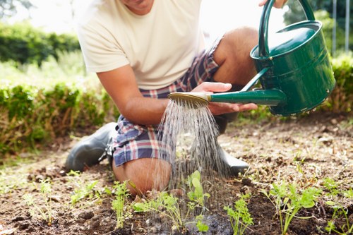 Professional landscape gardeners at work in Battersea