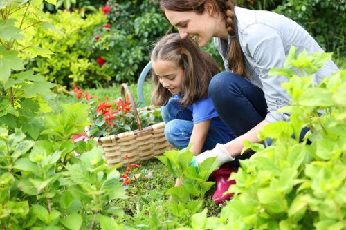 Maintenance of a thriving Battersea landscape garden