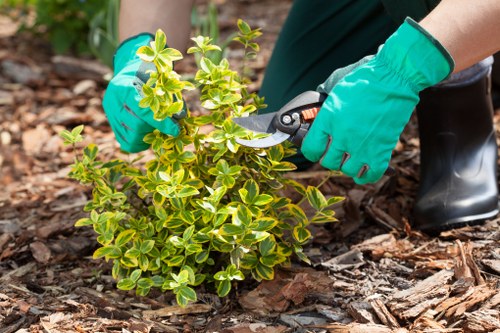 Cost-effective landscape gardening materials in Battersea