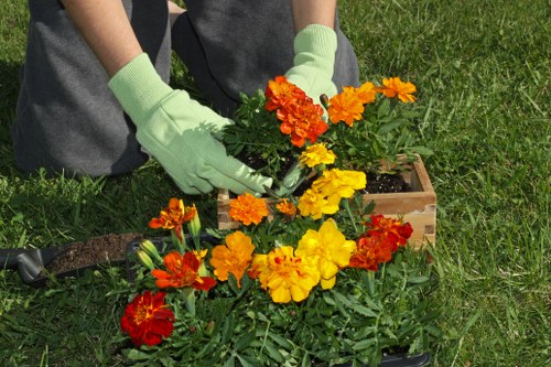 Choosing the right garden clearance service