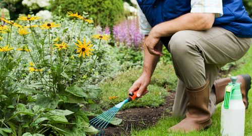 Choosing the right hedge trimming service in Battersea
