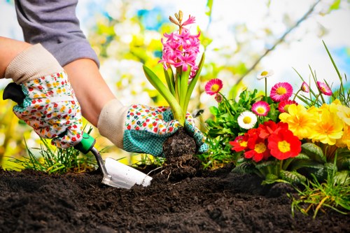 Choosing the right mower for your lawn