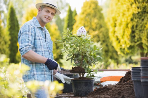 Safety measures during tree removal