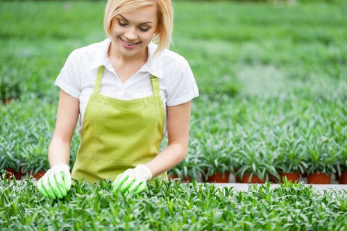 Professional landscape gardener planning a Battersea garden