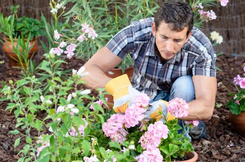 Professional garden design plan